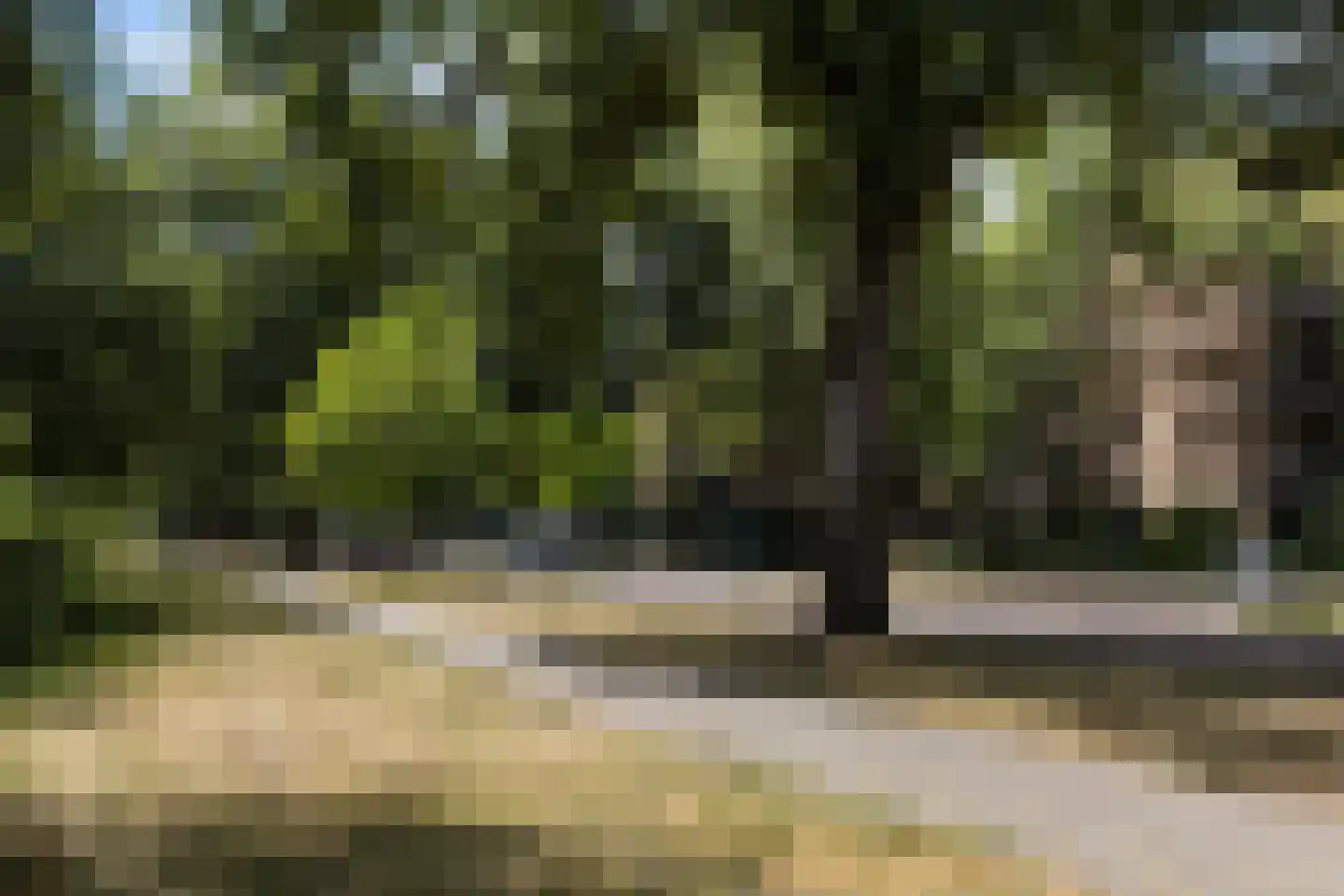 Piersonstraat 40 Apeldoorn thumbnail 22