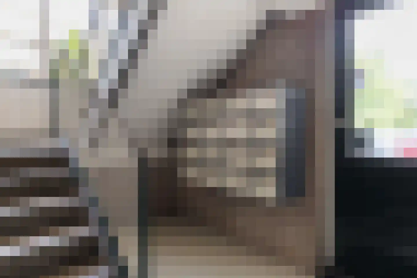 Piersonstraat 40 Apeldoorn thumbnail 31