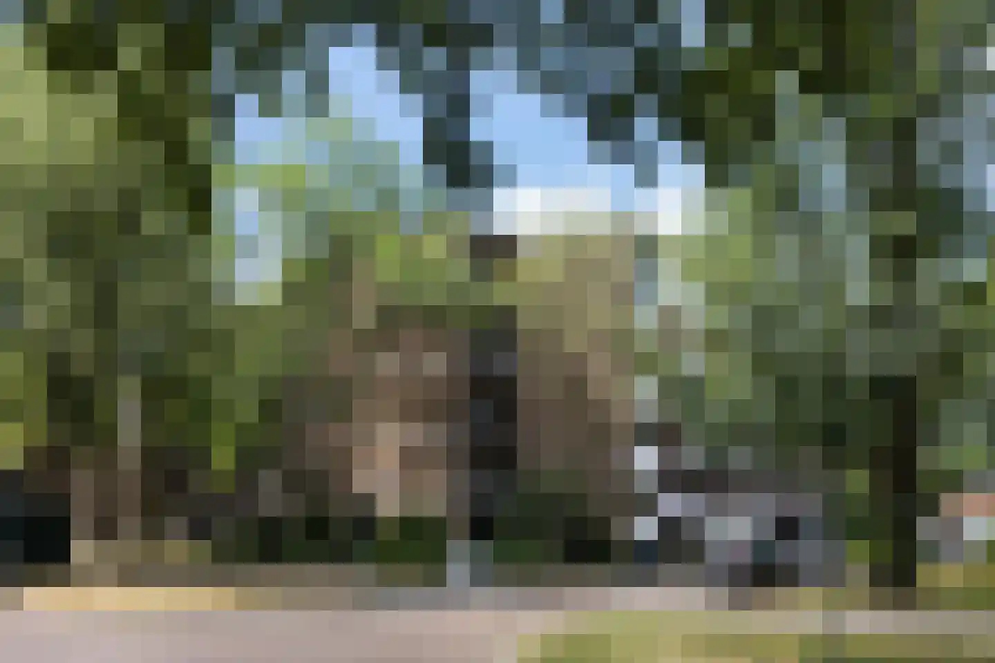 Piersonstraat 40 Apeldoorn thumbnail 34