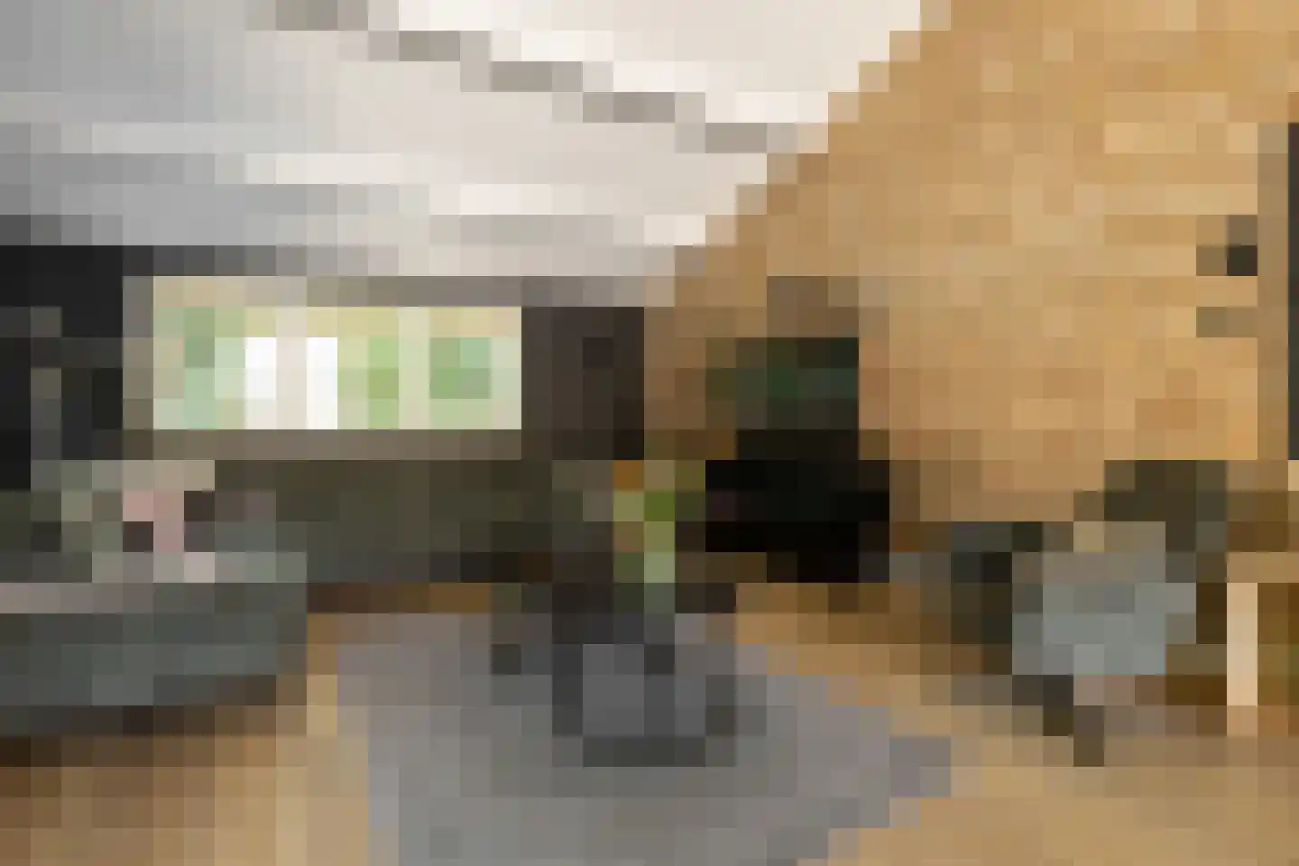 Piersonstraat 47 Nunspeet thumbnail 14