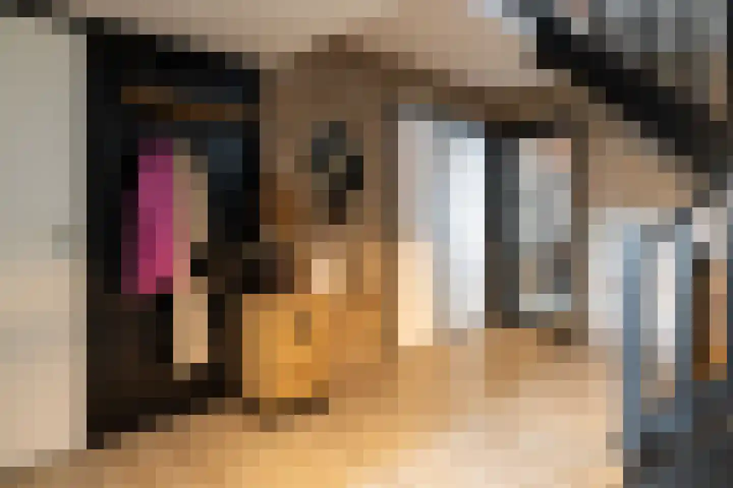 Piersonstraat 47 Nunspeet thumbnail 34