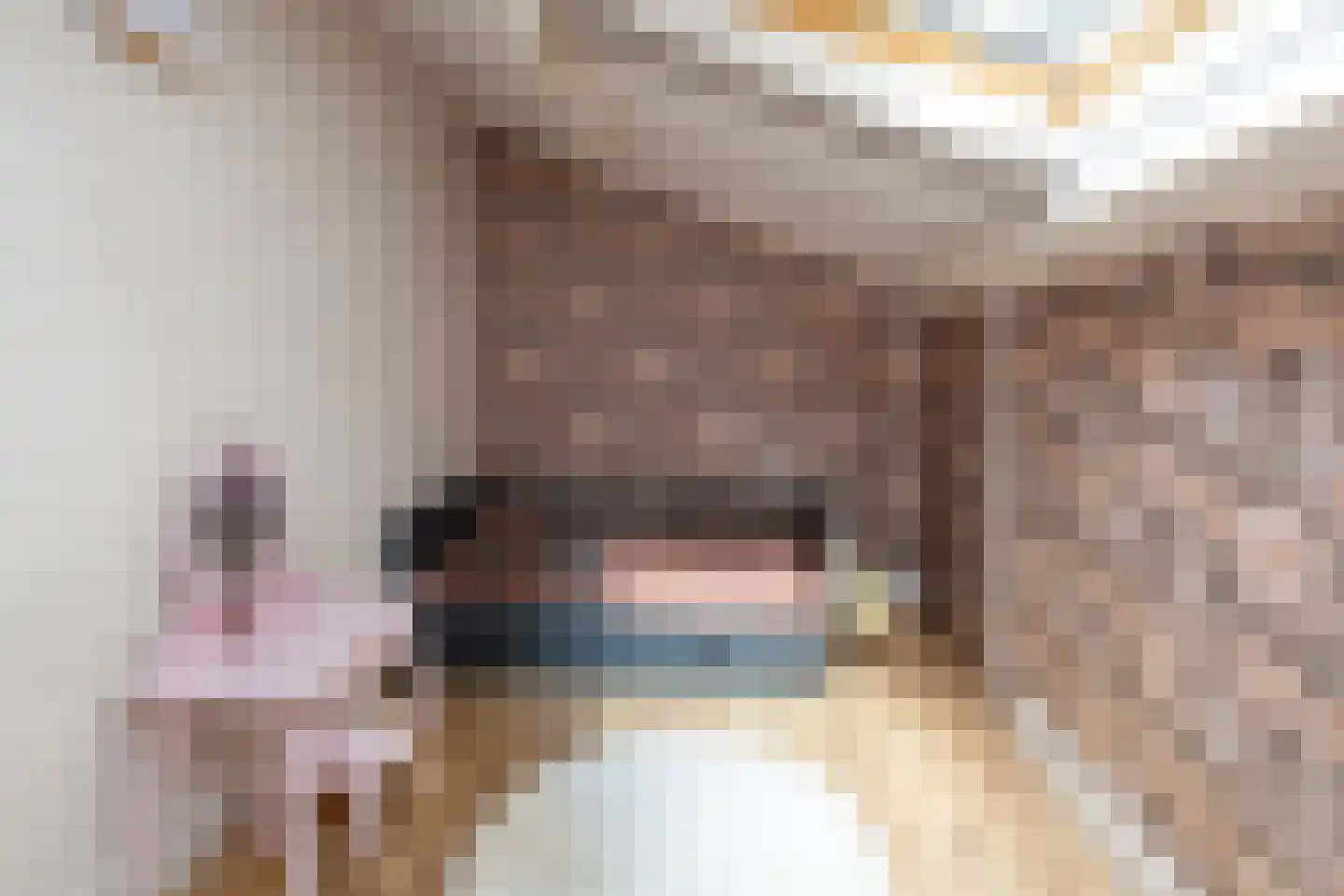 Piersonstraat 47 Nunspeet thumbnail 38
