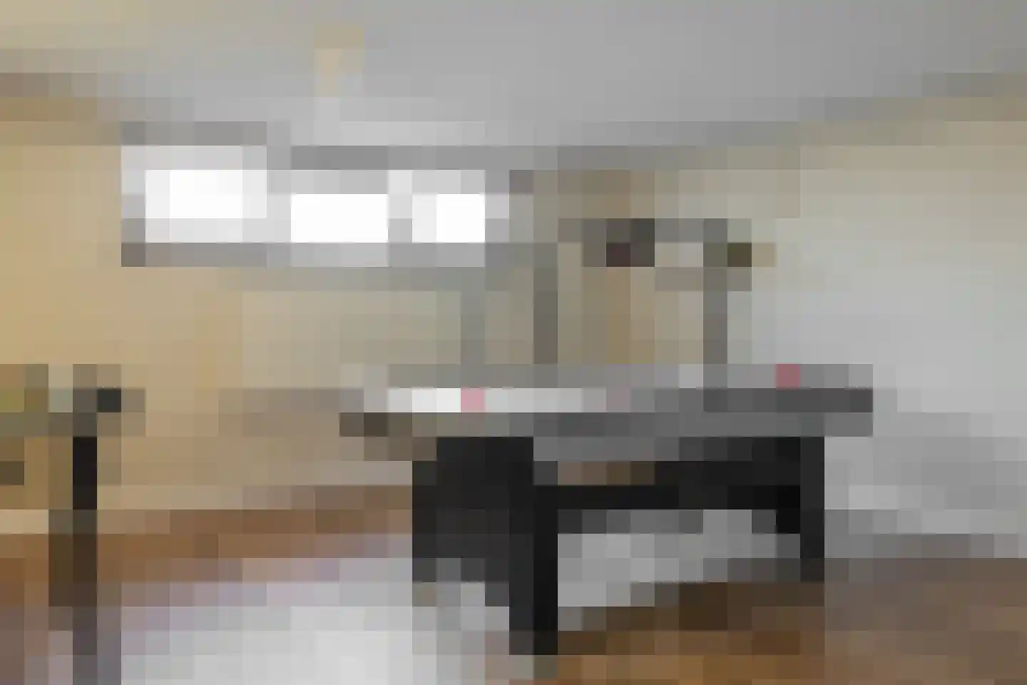 Piersonstraat 47 Nunspeet thumbnail 39
