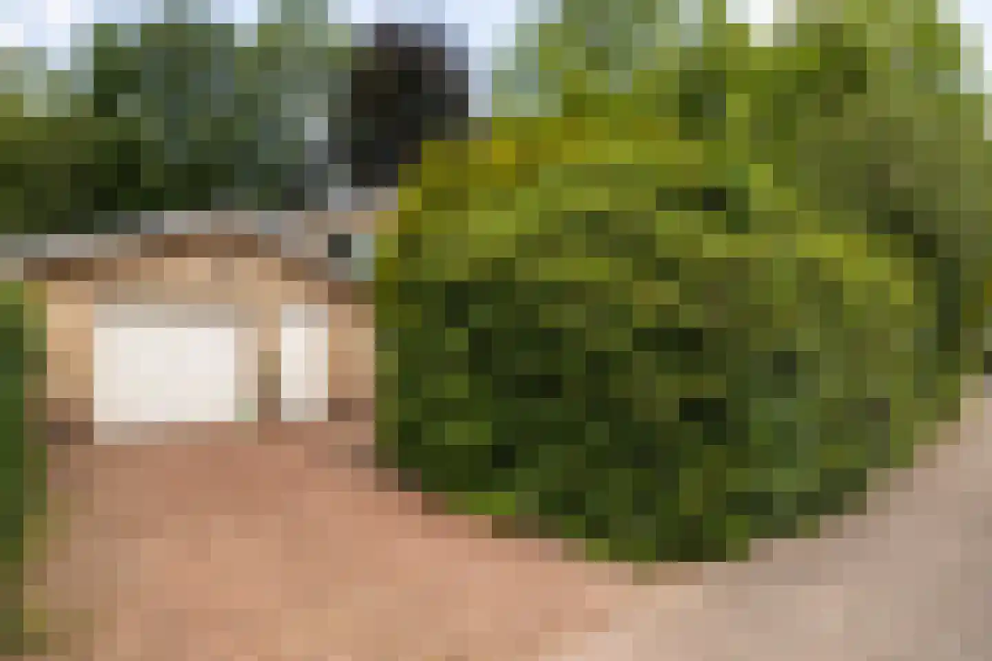 Piersonstraat 47 Nunspeet thumbnail 4
