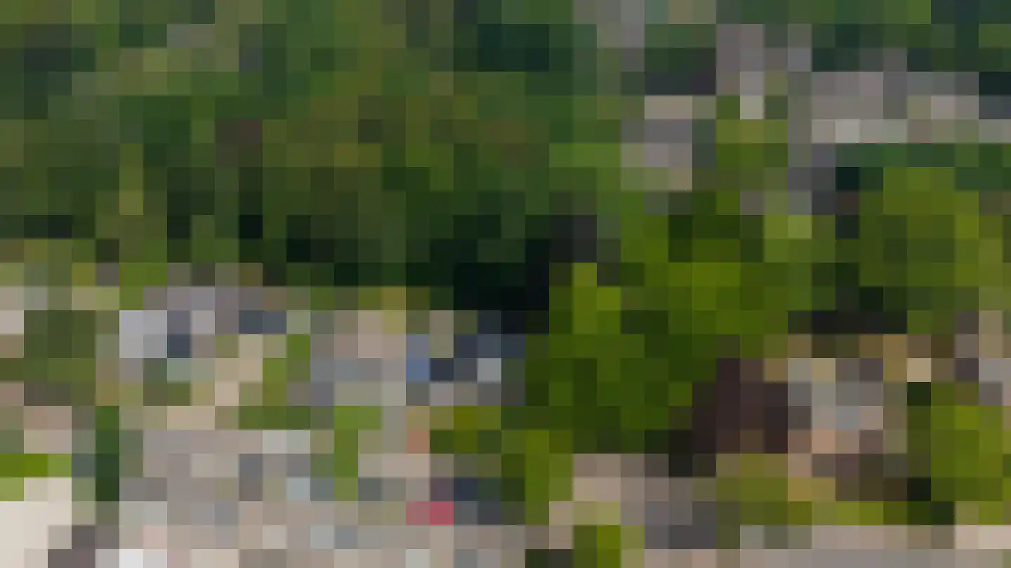 Piersonstraat 47 Nunspeet thumbnail 43