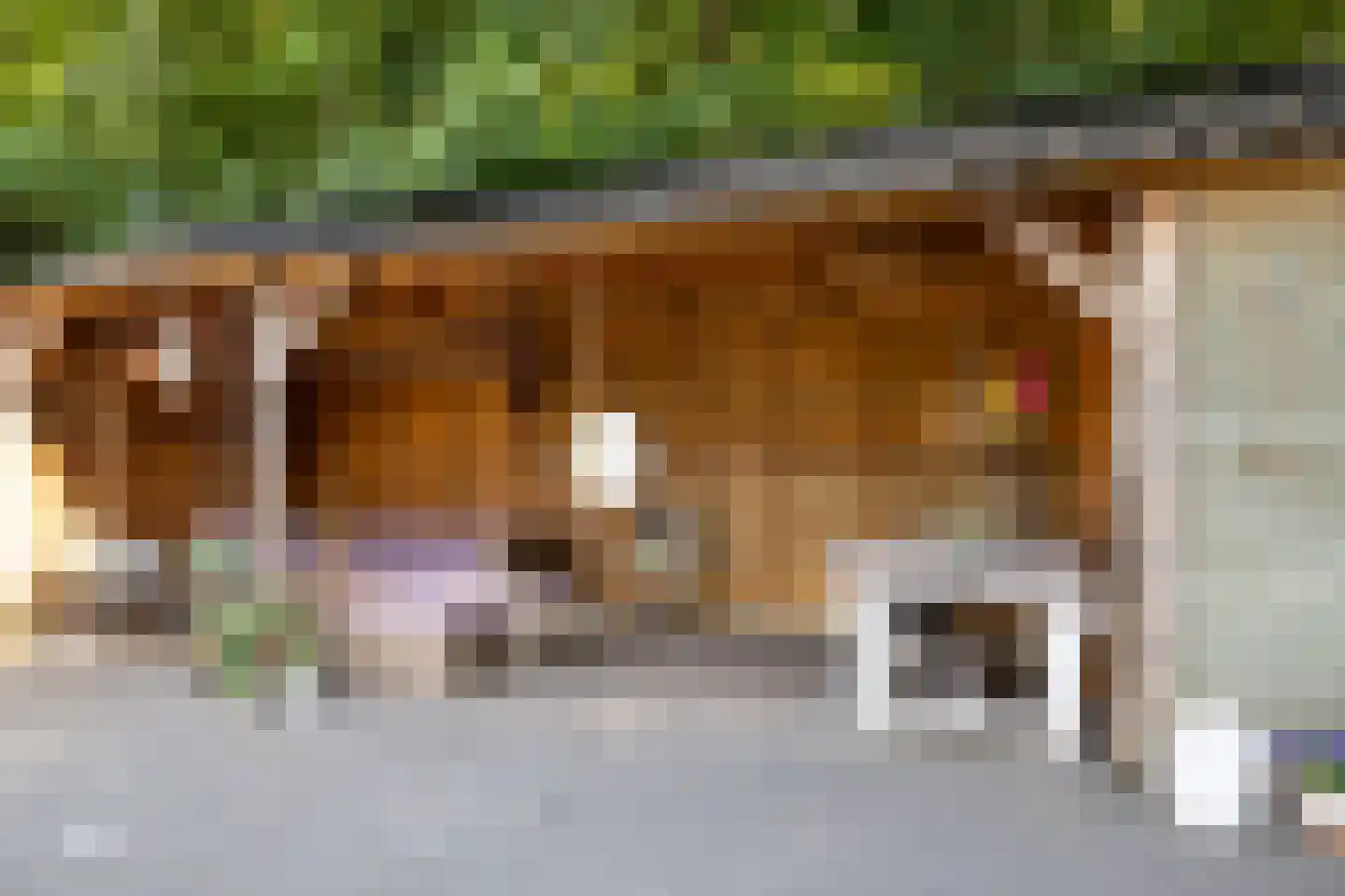 Piersonstraat 47 Nunspeet thumbnail 46