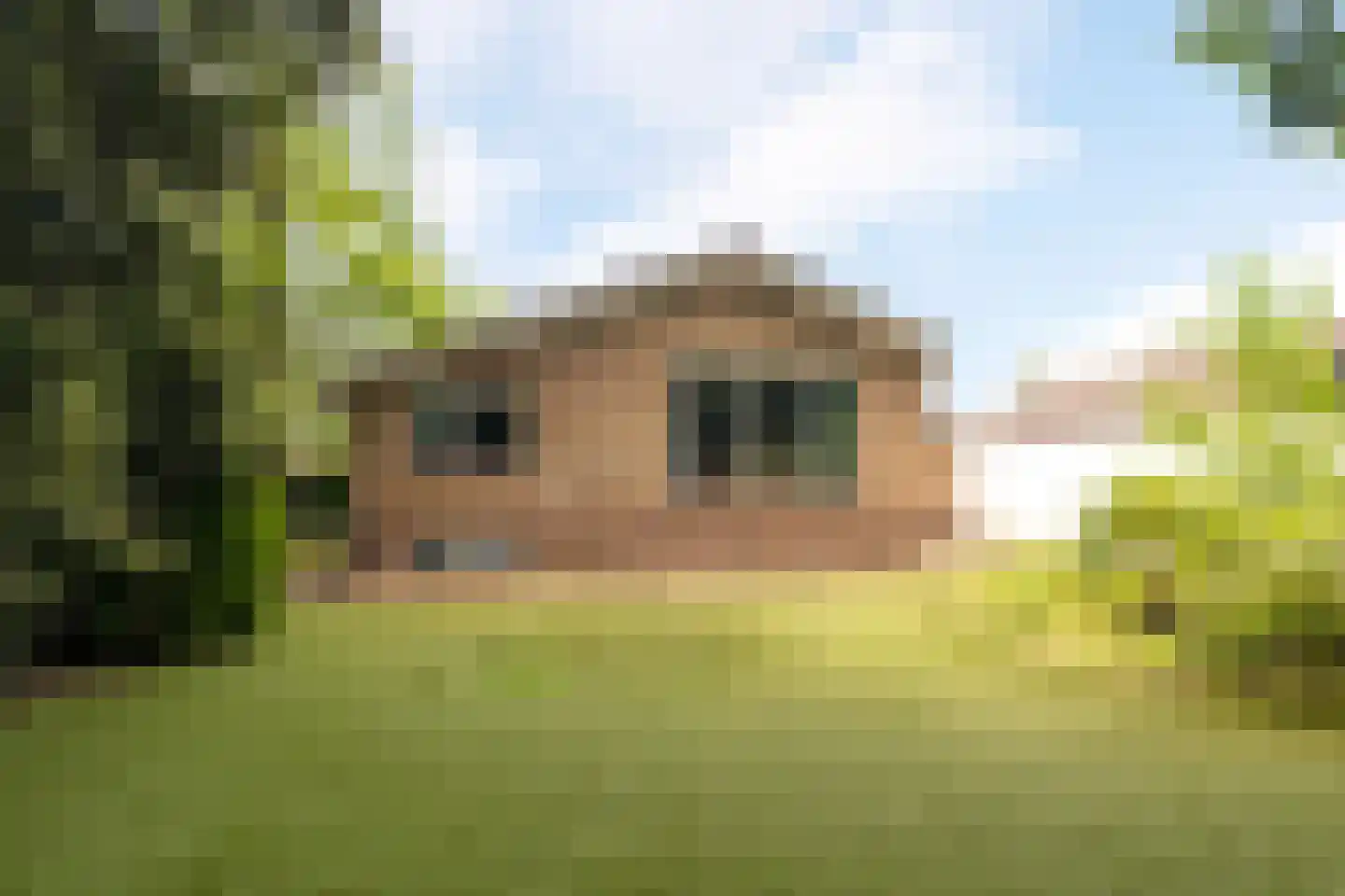 Piersonstraat 47 Nunspeet thumbnail 5