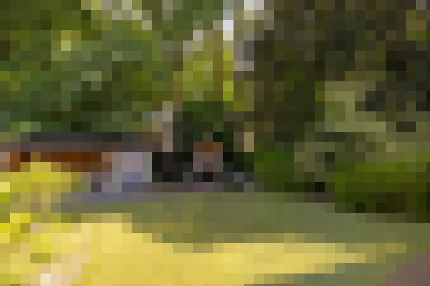 Piersonstraat 47 Nunspeet thumbnail 6