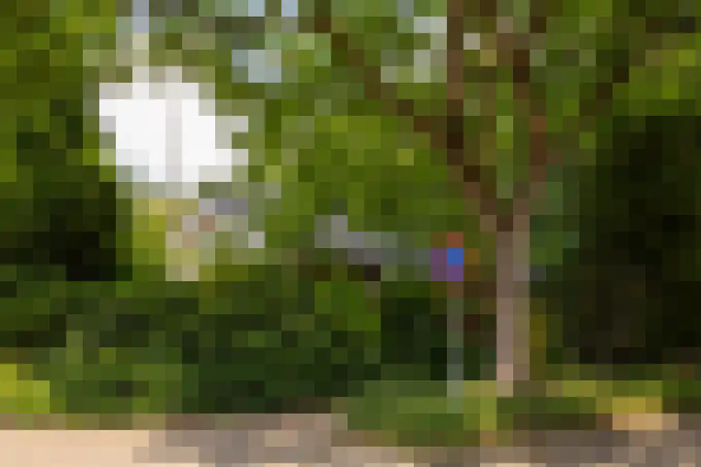 Piersonstraat 47 Nunspeet thumbnail 8
