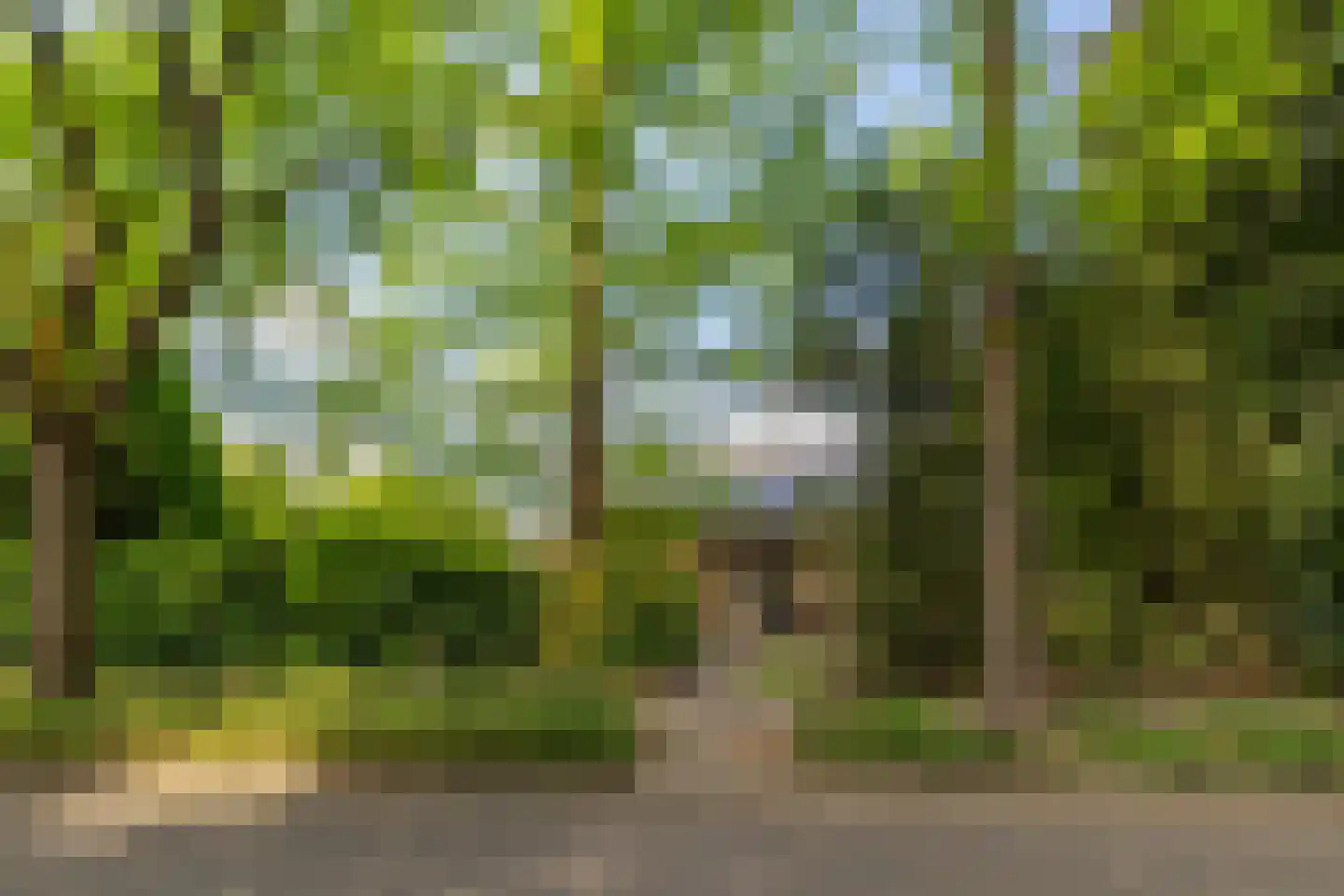 Piersonstraat 47 Nunspeet thumbnail 9