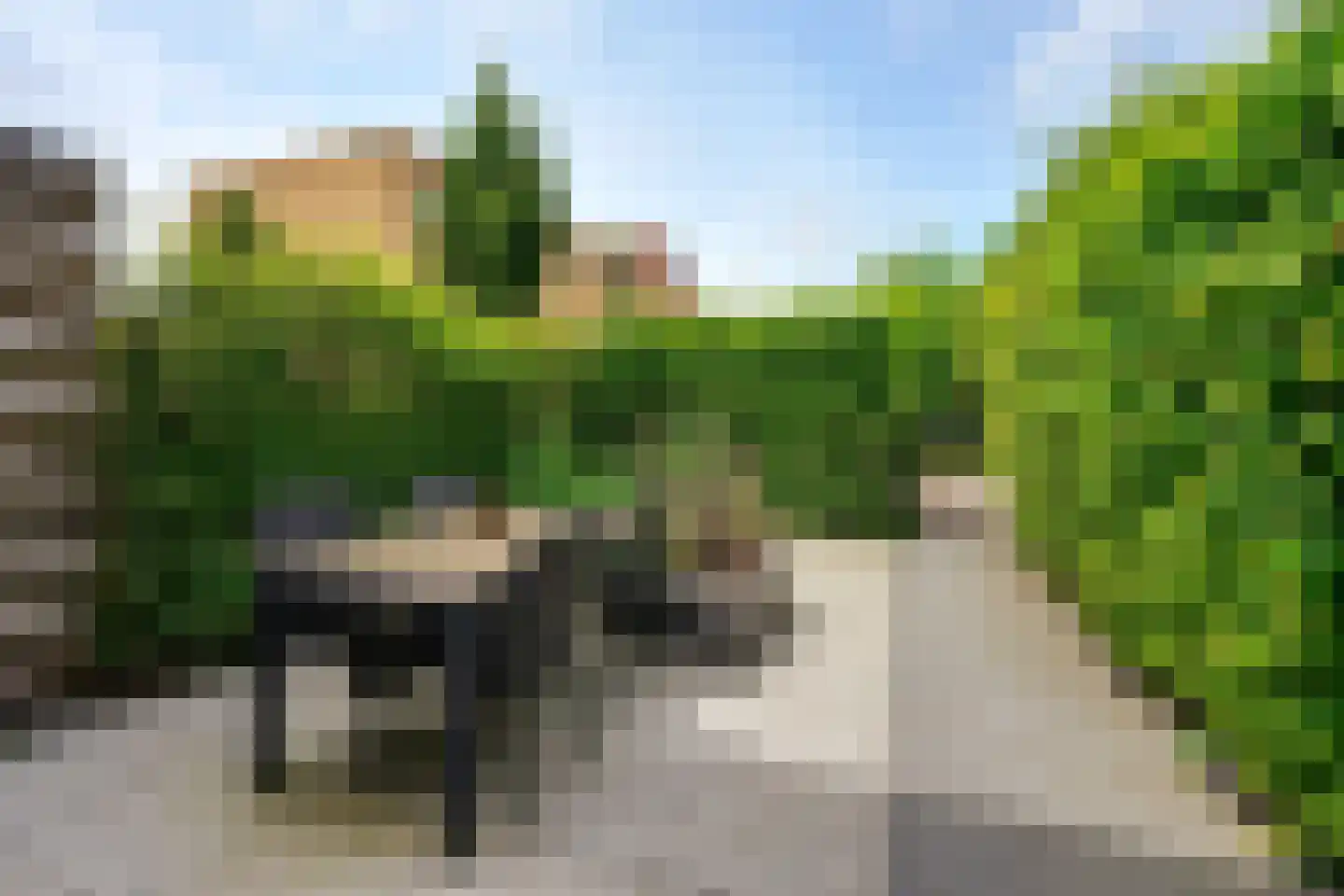 Piersonstraat 53 Dordrecht thumbnail 5
