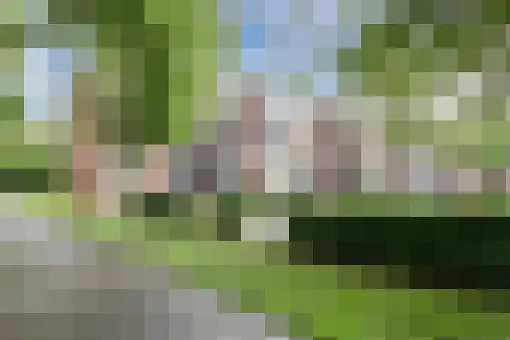 Piersonstraat 58 Meppel thumbnail 17