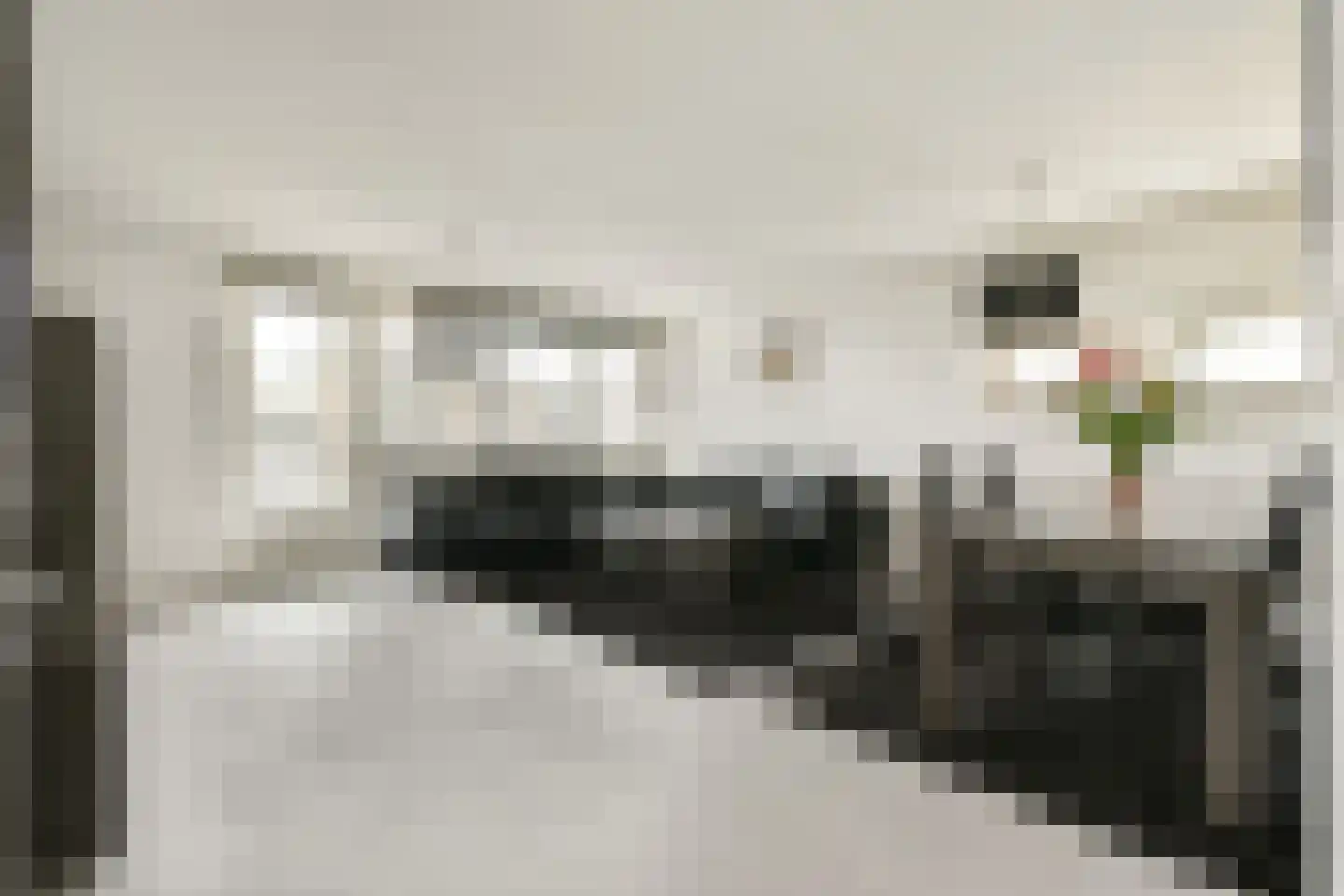 Piersonstraat 88 Schiedam thumbnail 5