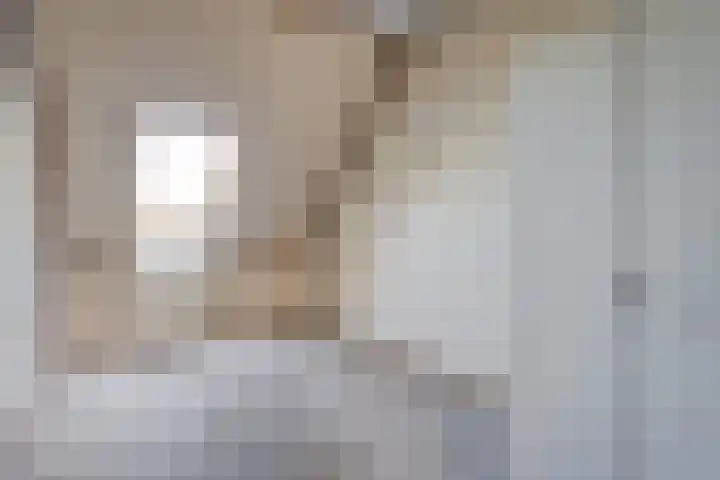 Piersonware 1 Zwolle thumbnail 17