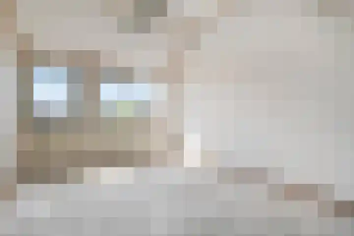Piersonware 1 Zwolle thumbnail 20