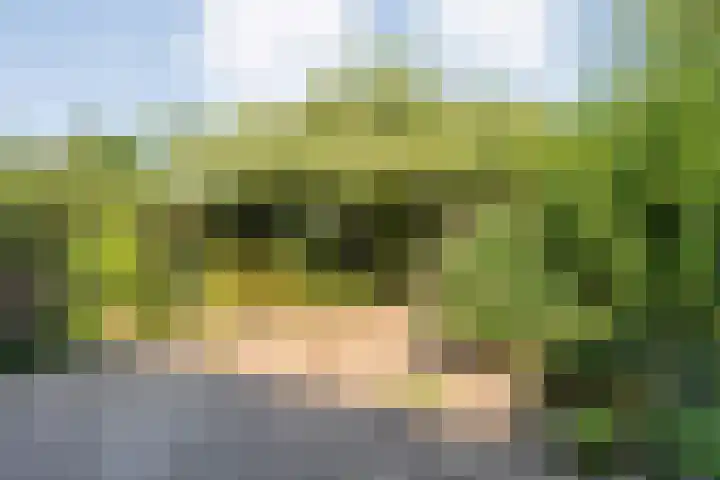 Piersonware 1 Zwolle thumbnail 25