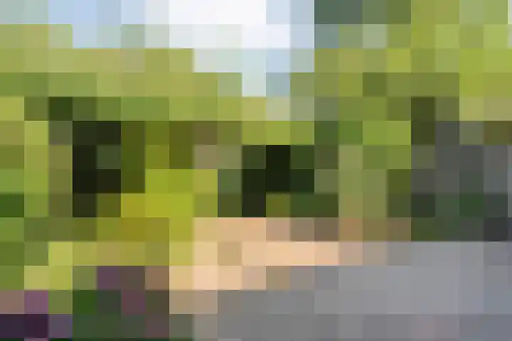 Piersonware 1 Zwolle thumbnail 26