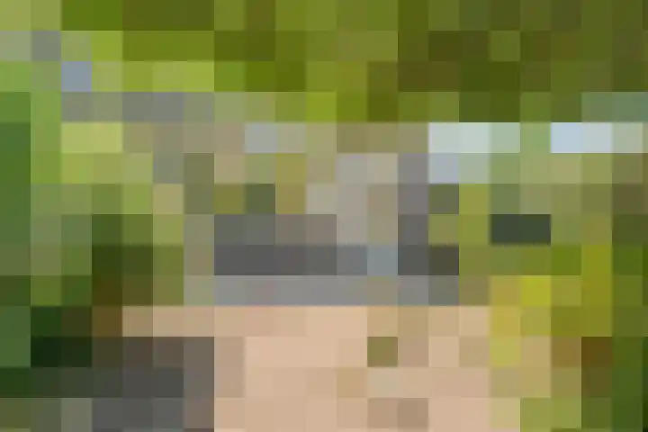 Piersonware 1 Zwolle thumbnail 27