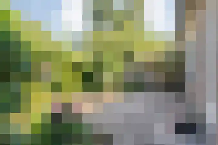 Piersonware 1 Zwolle thumbnail 28