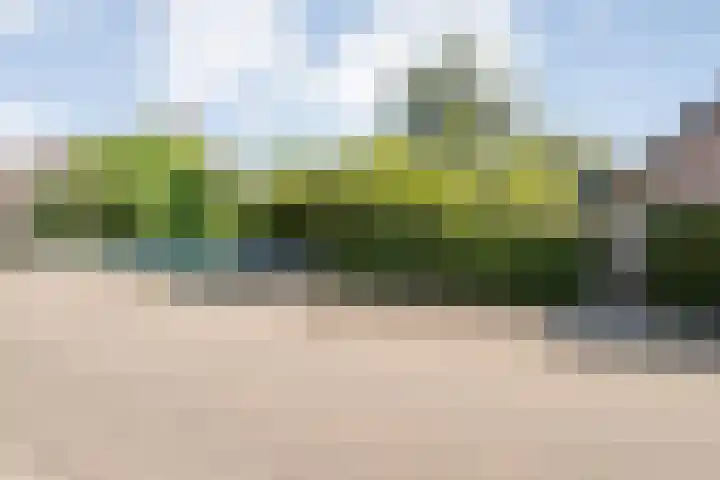 Piersonware 1 Zwolle thumbnail 30