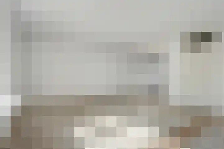 Piersonware 12 Zwolle thumbnail 11