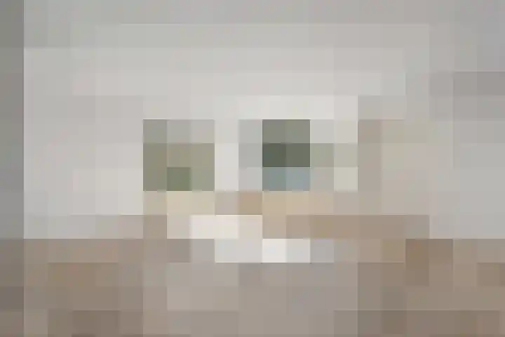 Piersonware 12 Zwolle thumbnail 13