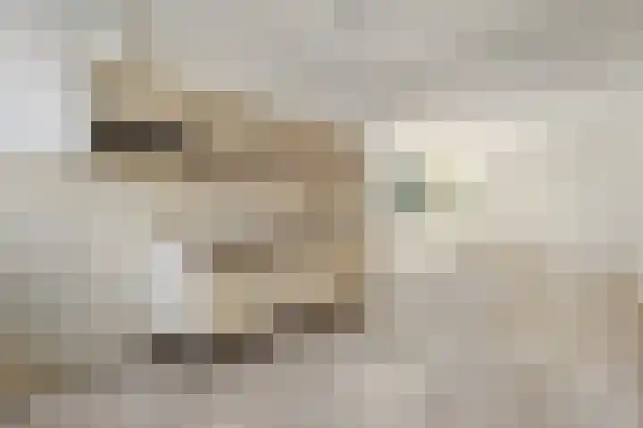 Piersonware 12 Zwolle thumbnail 15
