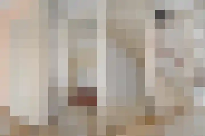 Piersonware 12 Zwolle thumbnail 17