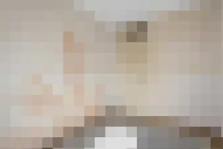 Piersonware 12 Zwolle thumbnail 19