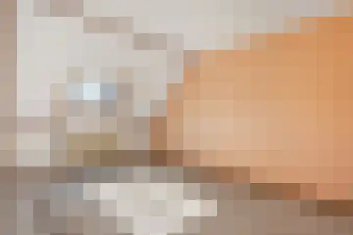 Piersonware 12 Zwolle thumbnail 20