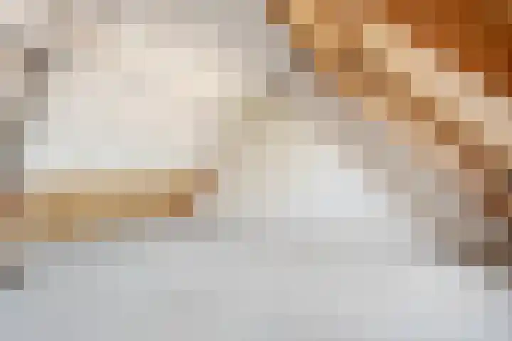 Piersonware 12 Zwolle thumbnail 26
