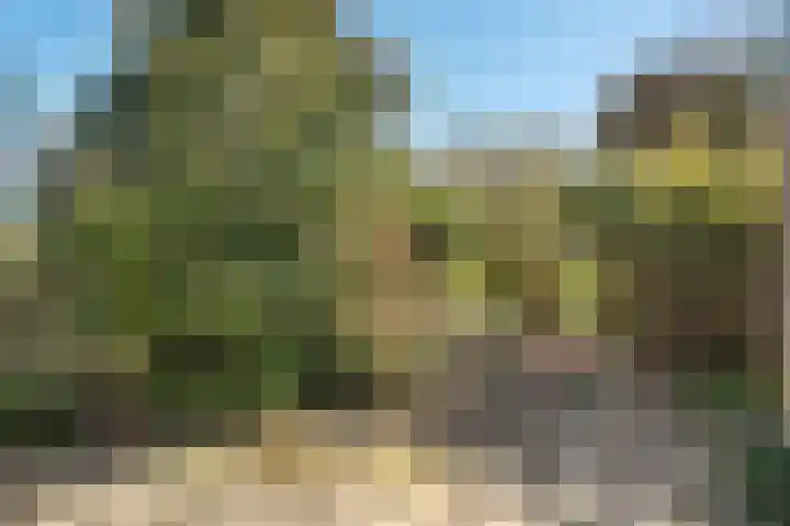 Piersonware 12 Zwolle thumbnail 31