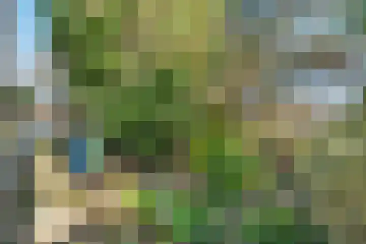 Piersonware 12 Zwolle thumbnail 35