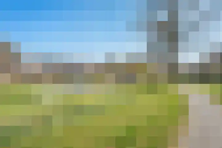 Piersonware 12 Zwolle thumbnail 38