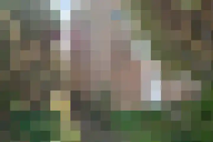 Piersonware 12 Zwolle thumbnail 6