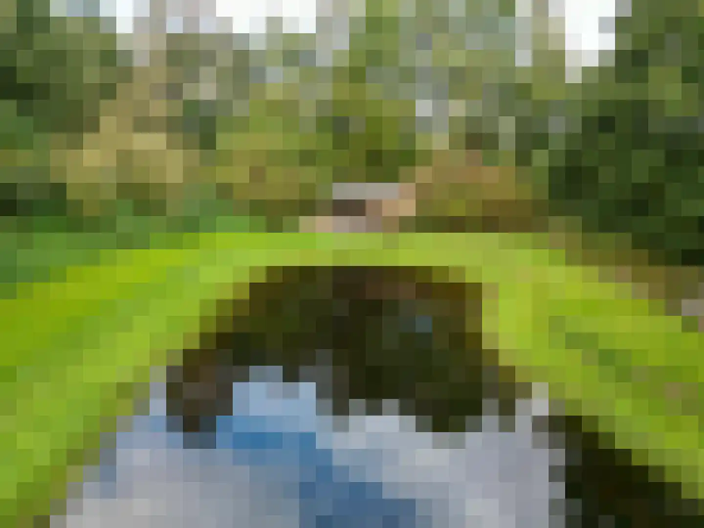Pierswijk 6 Marum thumbnail 10