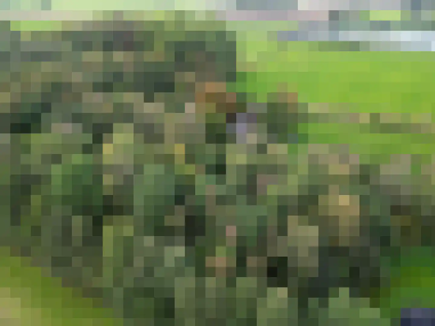 Pierswijk 6 Marum thumbnail 11