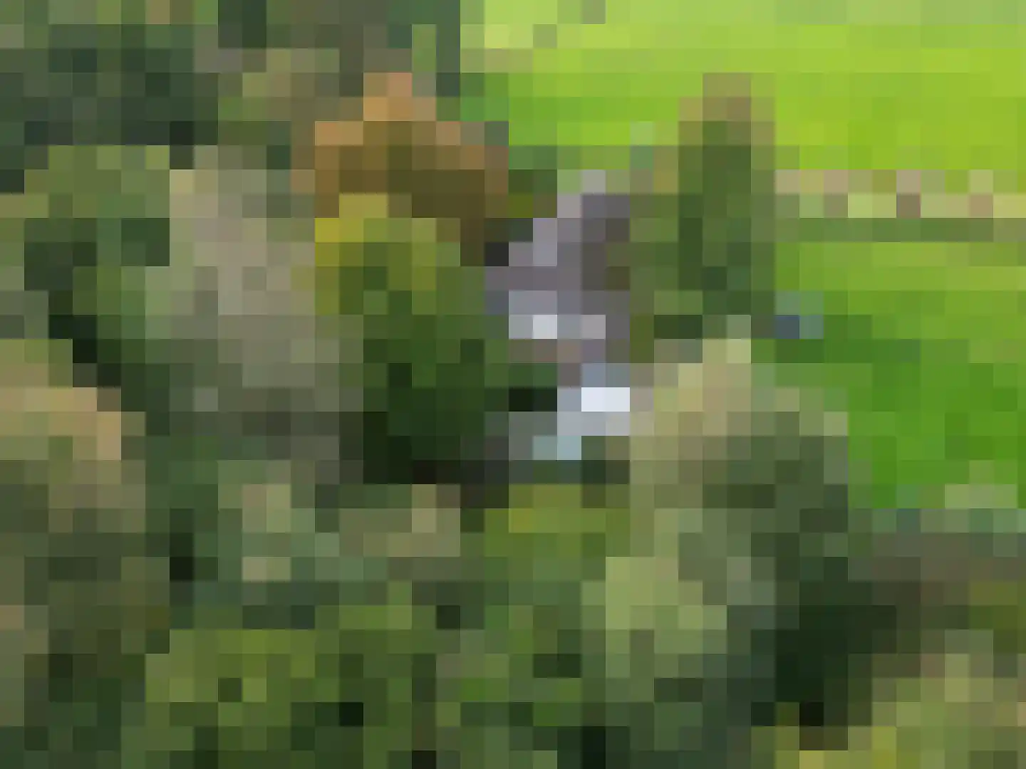 Pierswijk 6 Marum thumbnail 12
