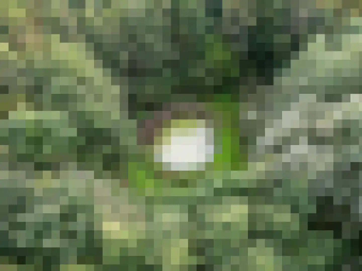 Pierswijk 6 Marum thumbnail 13