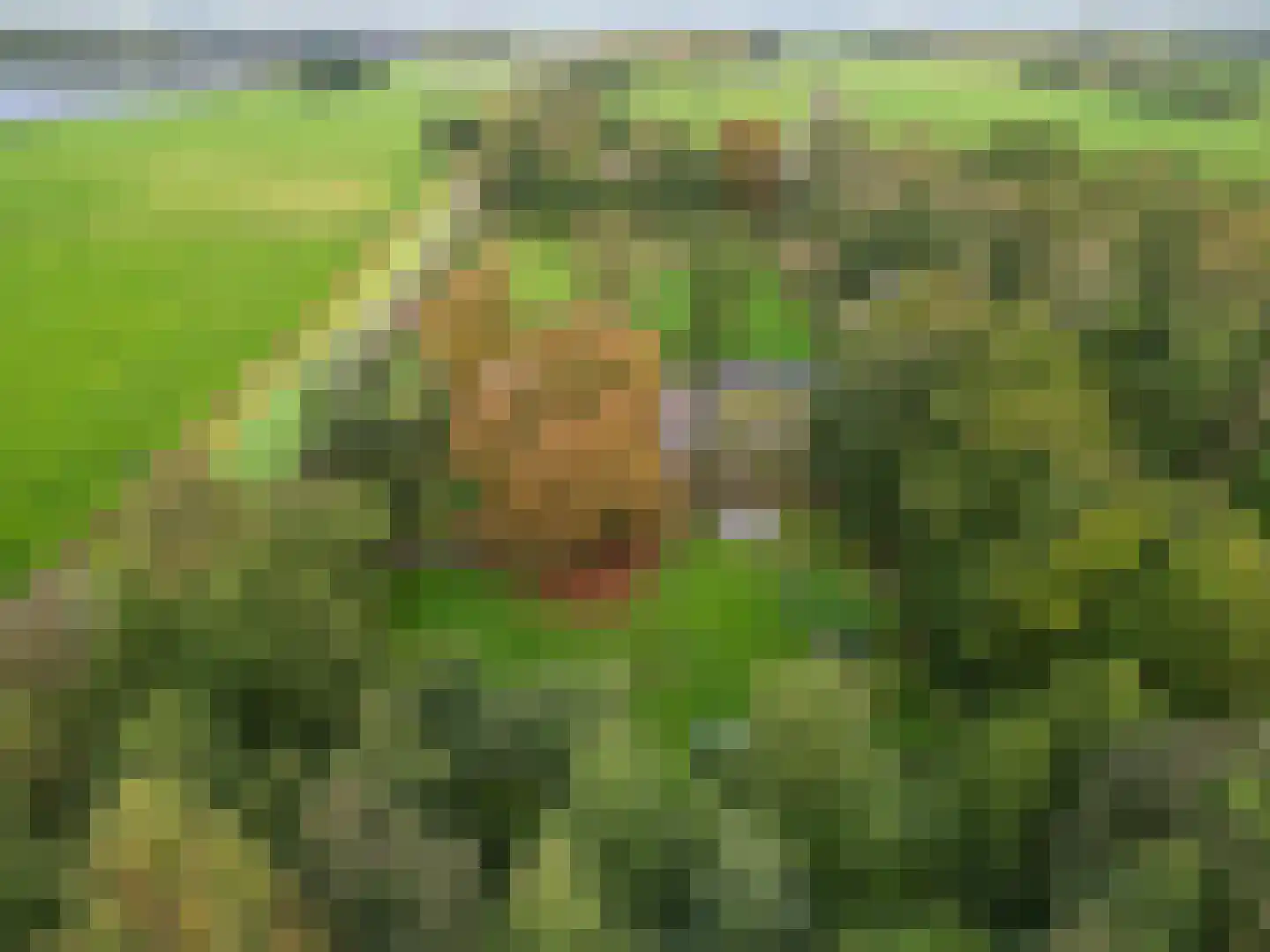 Pierswijk 6 Marum thumbnail 14