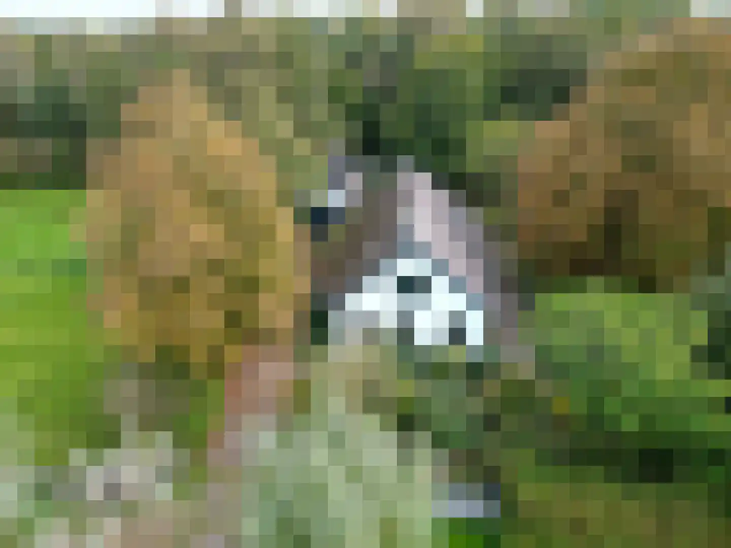 Pierswijk 6 Marum thumbnail 15