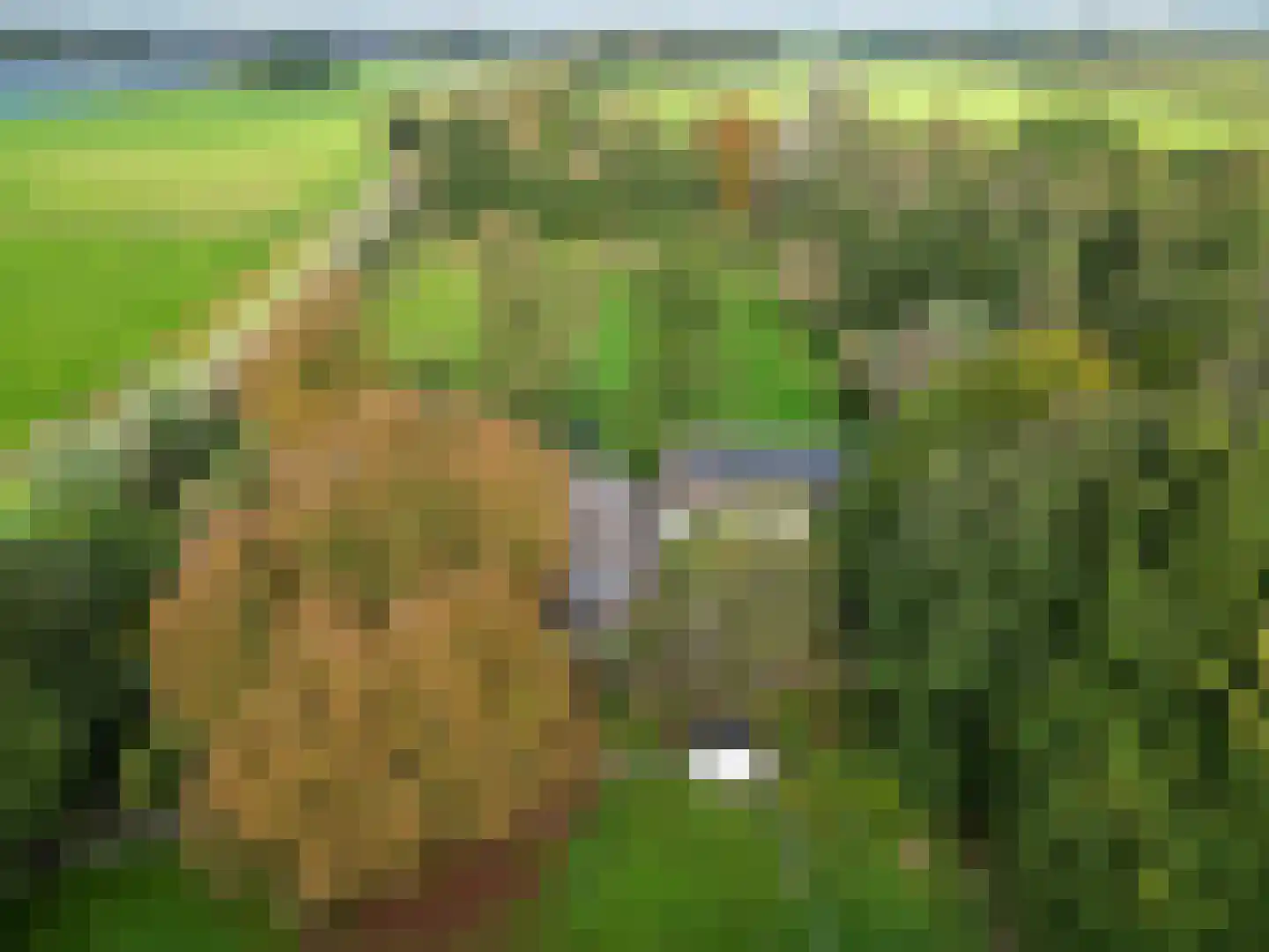 Pierswijk 6 Marum thumbnail 16