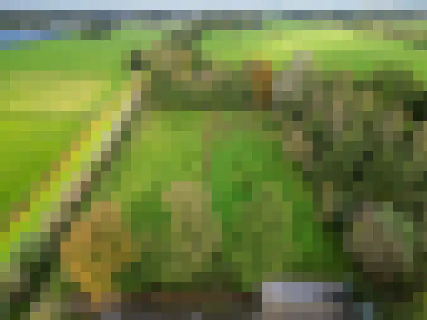 Pierswijk 6 Marum thumbnail 17