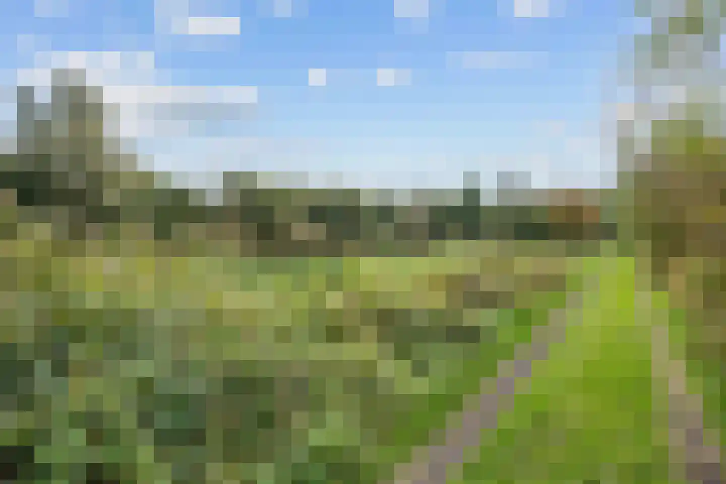 Pierswijk 6 Marum thumbnail 18