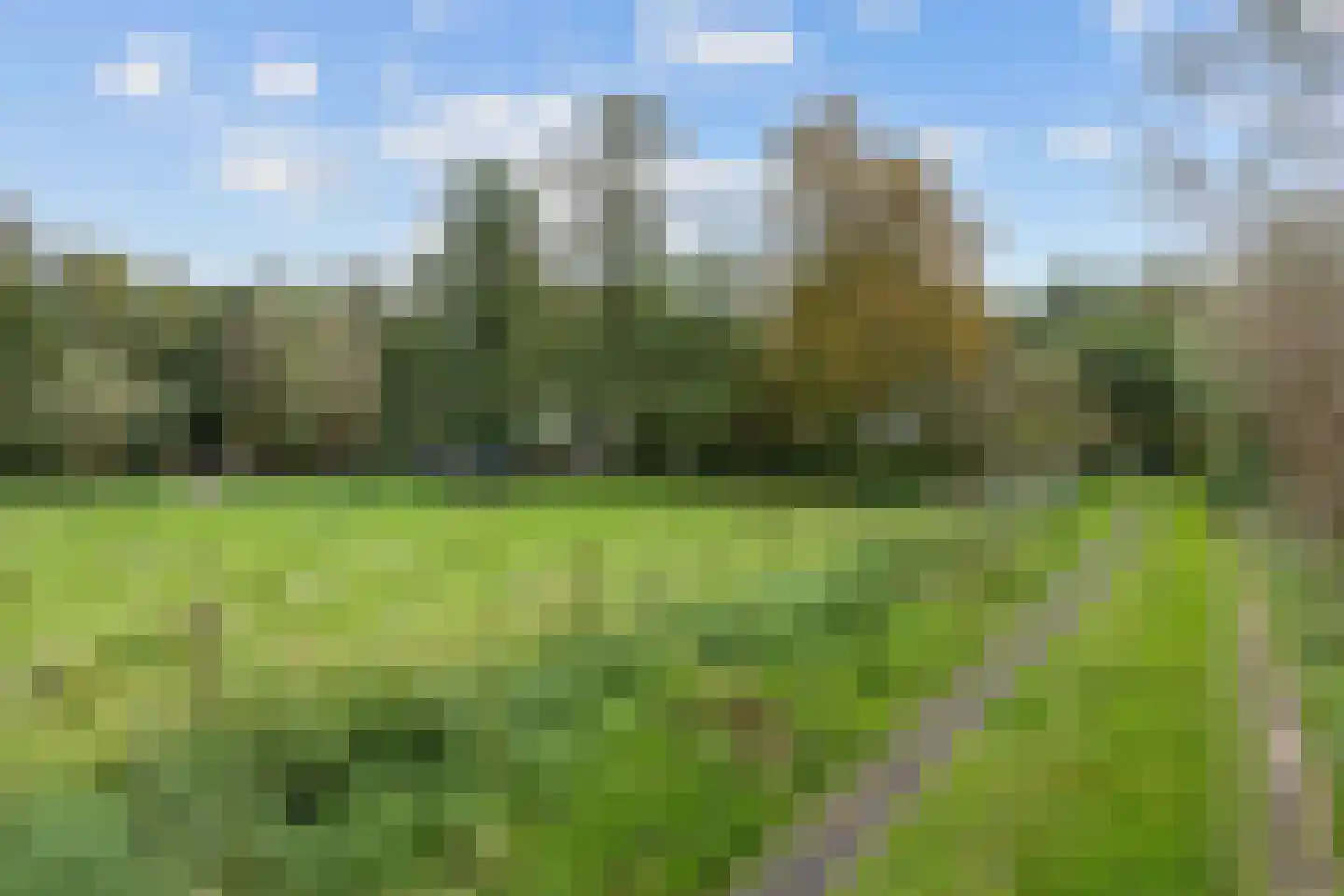 Pierswijk 6 Marum thumbnail 19