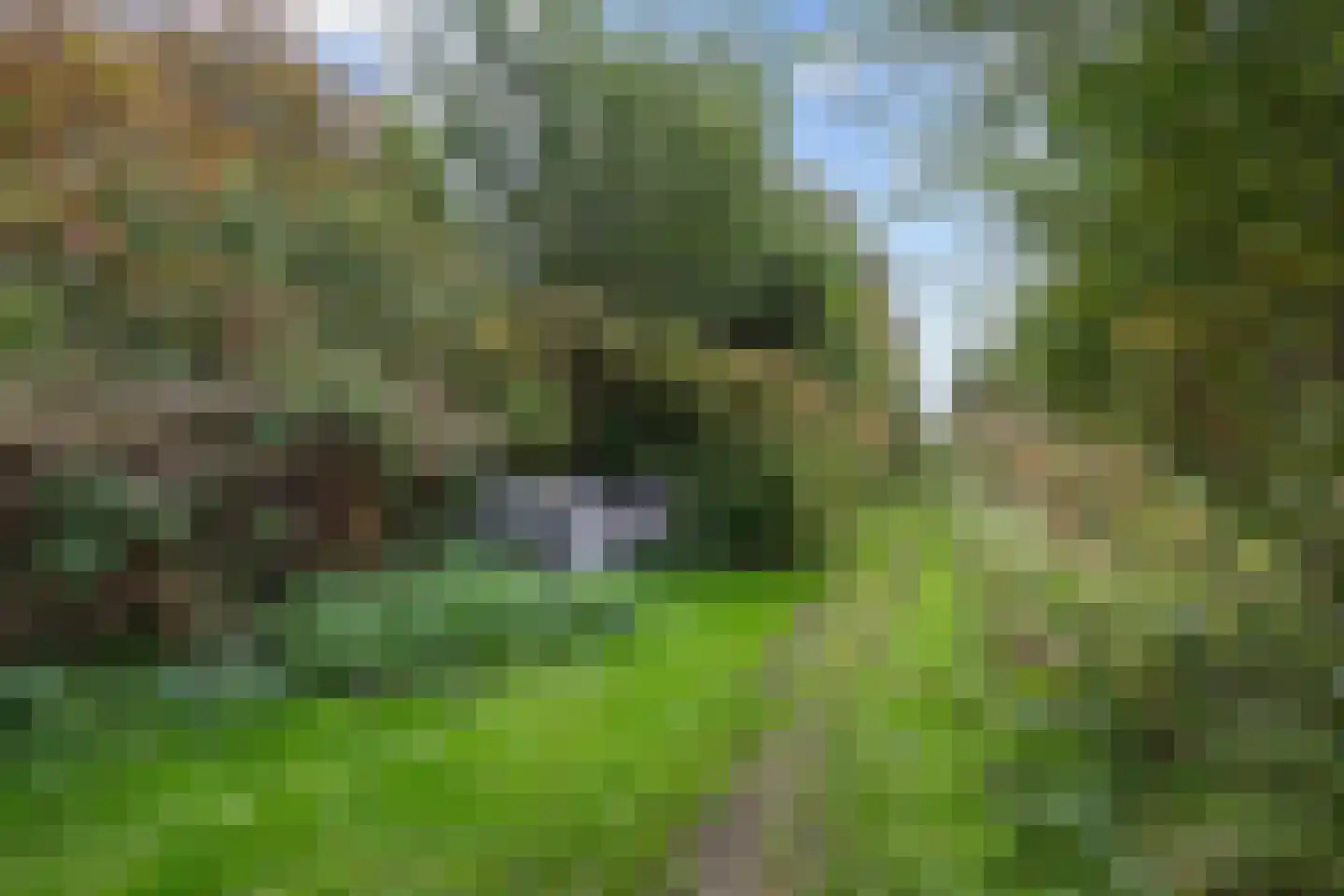 Pierswijk 6 Marum thumbnail 22