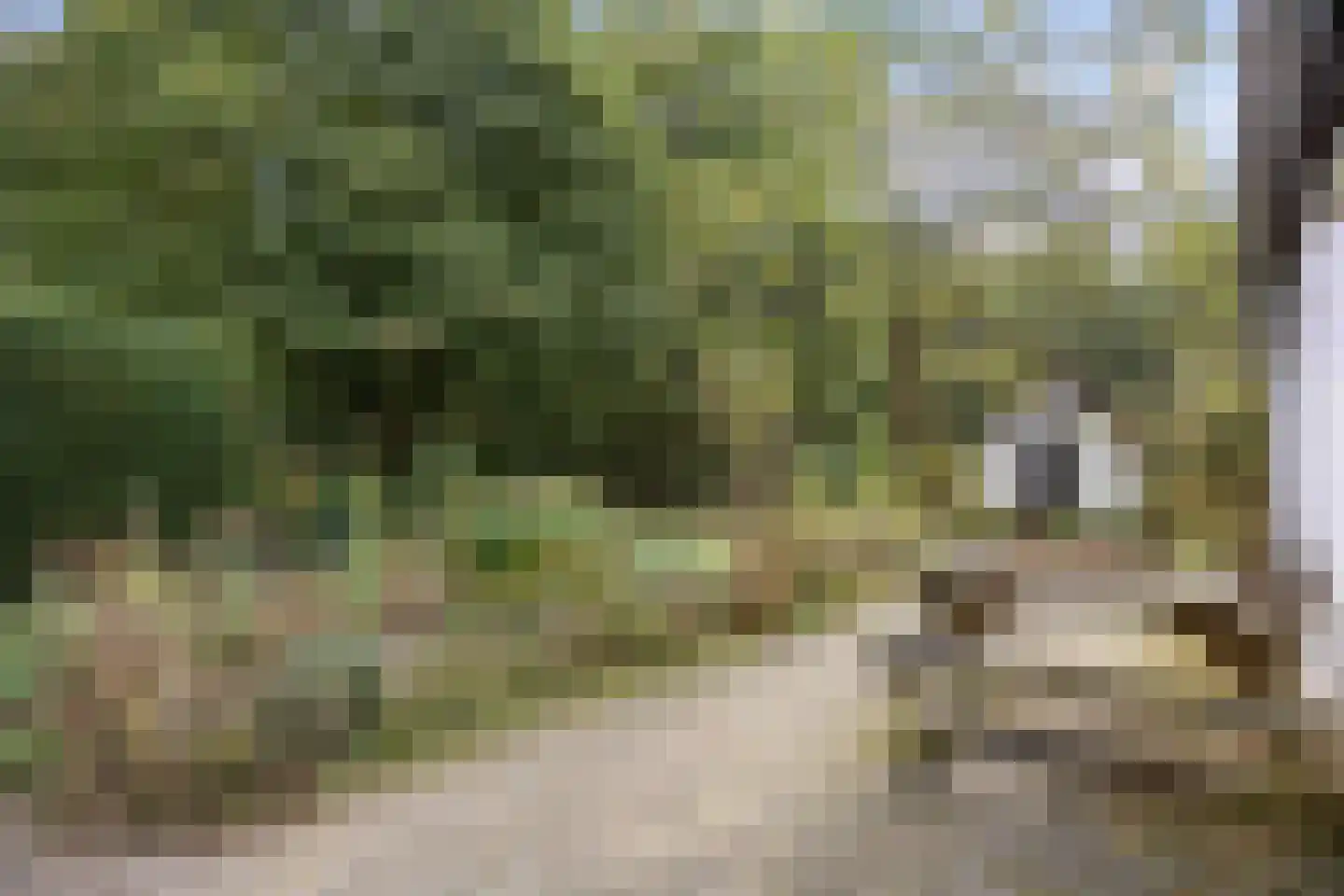 Pierswijk 6 Marum thumbnail 28