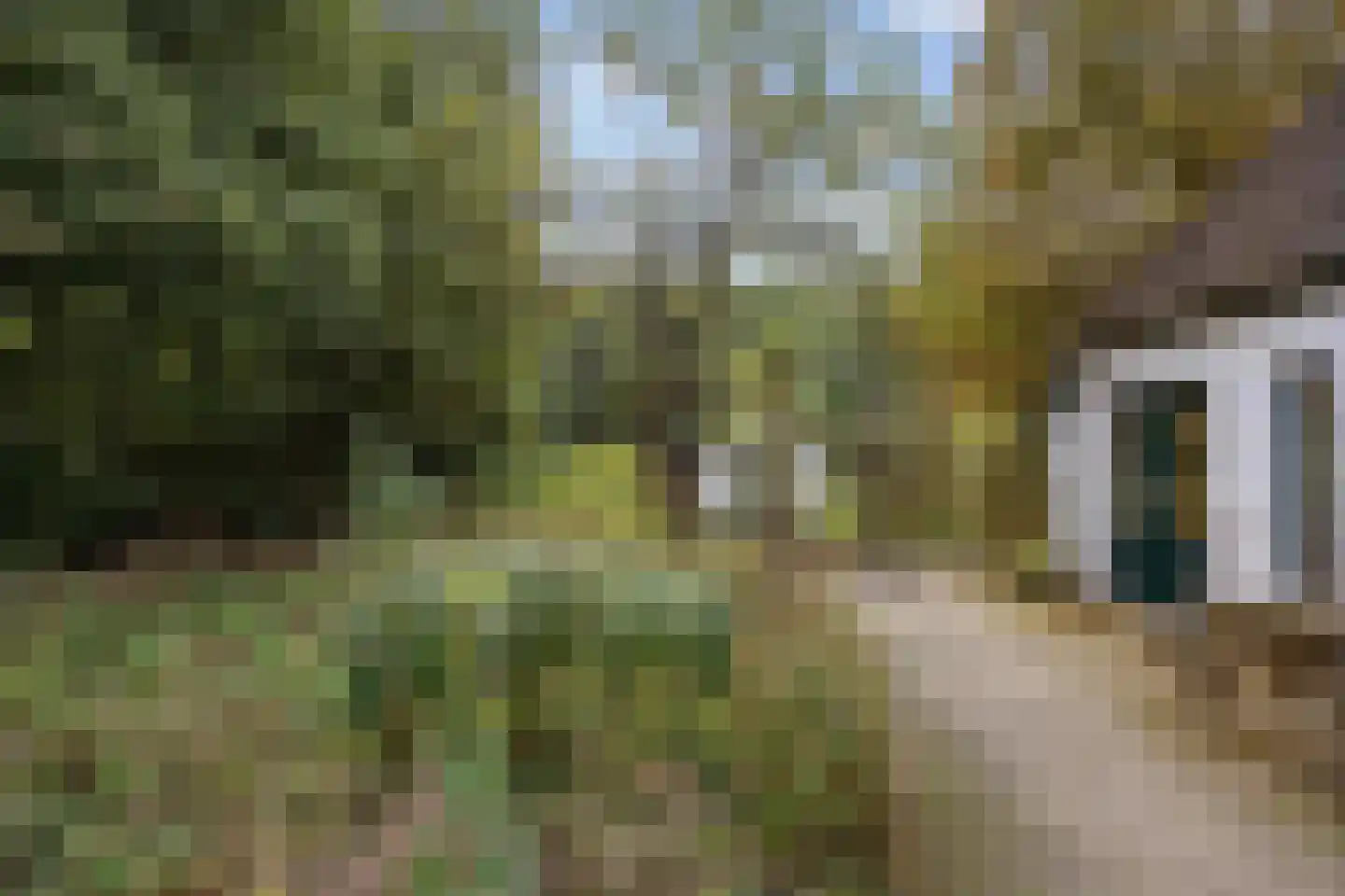 Pierswijk 6 Marum thumbnail 29