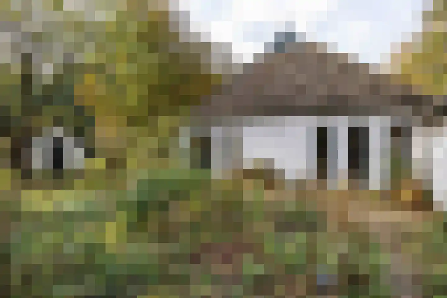 Pierswijk 6 Marum thumbnail 30
