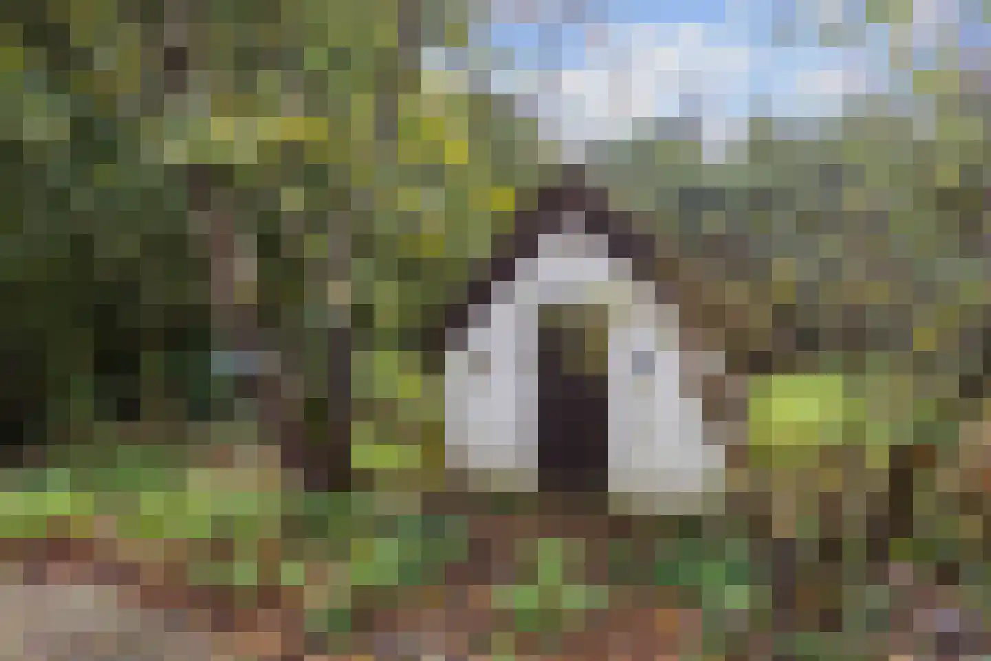 Pierswijk 6 Marum thumbnail 31